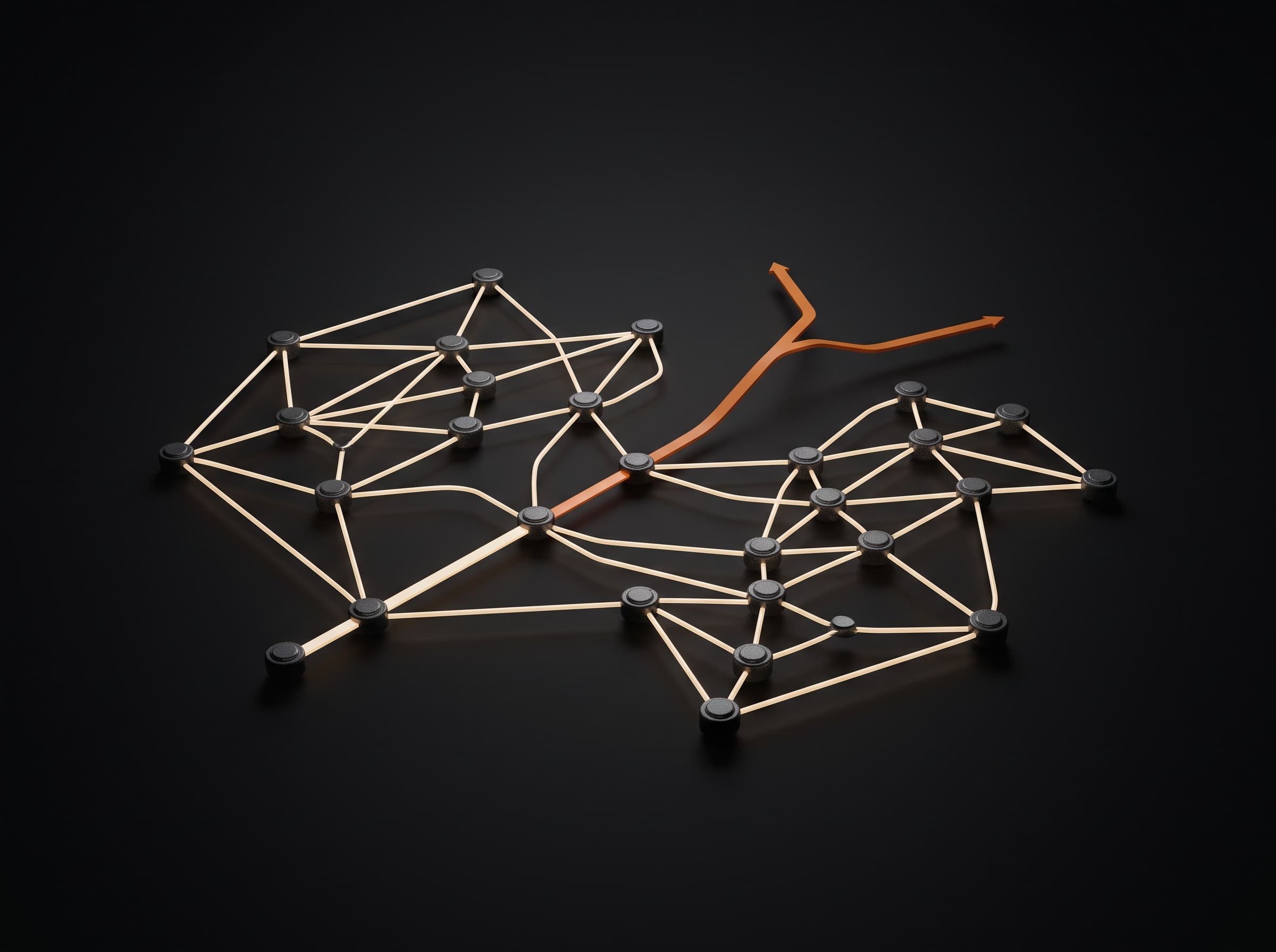Supply chain network with disruption forecasting